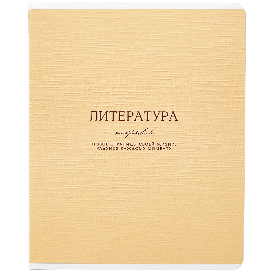 Тетрадь предметная Be Smart Dreamy Литература А5, 48 листов