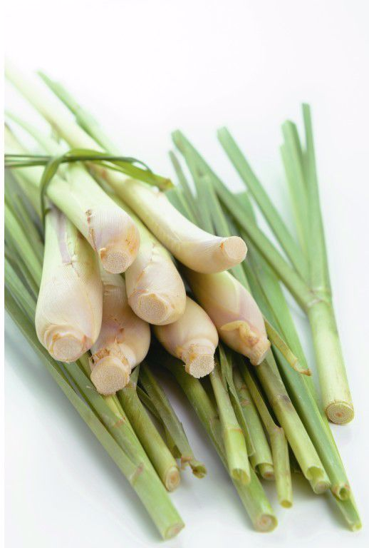 Лемонграсс весовой