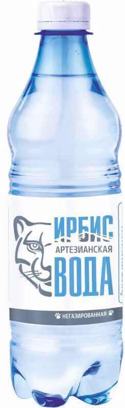 Вода без газа ИРБИС питьевая, 0,5 л купить с доставкой на дом, цены в ...