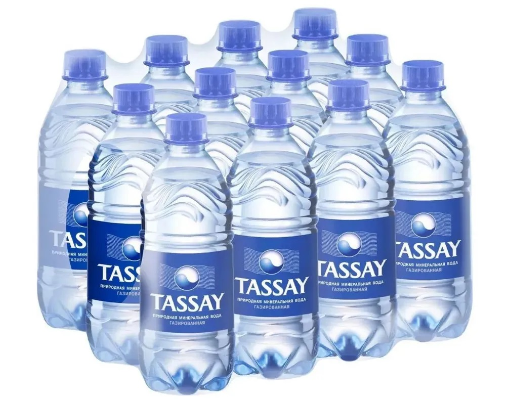 Вода Tassay питьевая газированная, 500мл х 12 шт