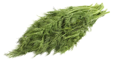 Укроп, 500г