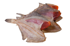 Камбала Фландерр вяленая икряная