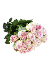 Букет роза микс 40 см 9 шт