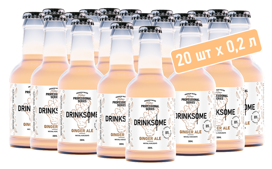 Напиток Drinksome Имбирный эль газированный, 200мл x 20 шт