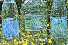 Вода Ивкинская питьевая артезианская негазированная, 5л