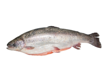 Форель радужная потрошеная с головой, ~300-400г
