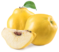 Айва весовая