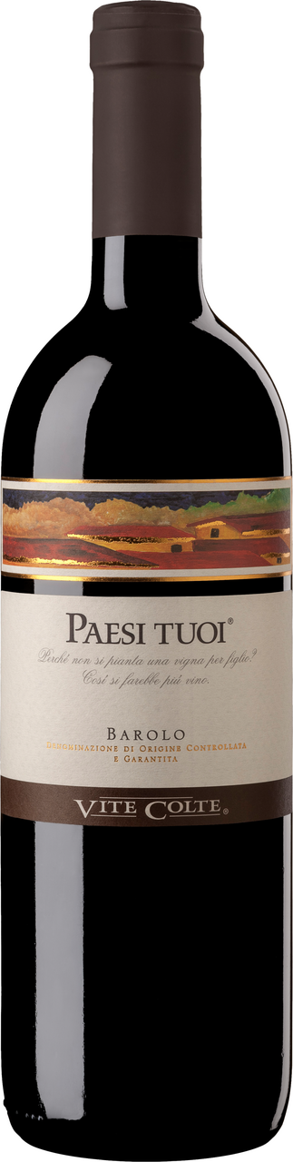 Вино Terre da Vino Paesi Tuoi Barolo красное сухое, 0.75л