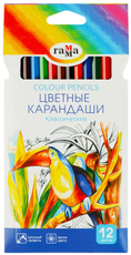 Карандаши цветные Гамма Классические, 12 цветов