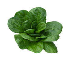 Шпинат, 100г