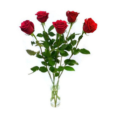 Букет из роз, 5 шт