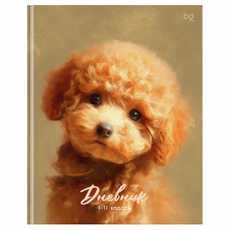 Дневник BG Лайт Плюш 1-11 класс, 48 листов