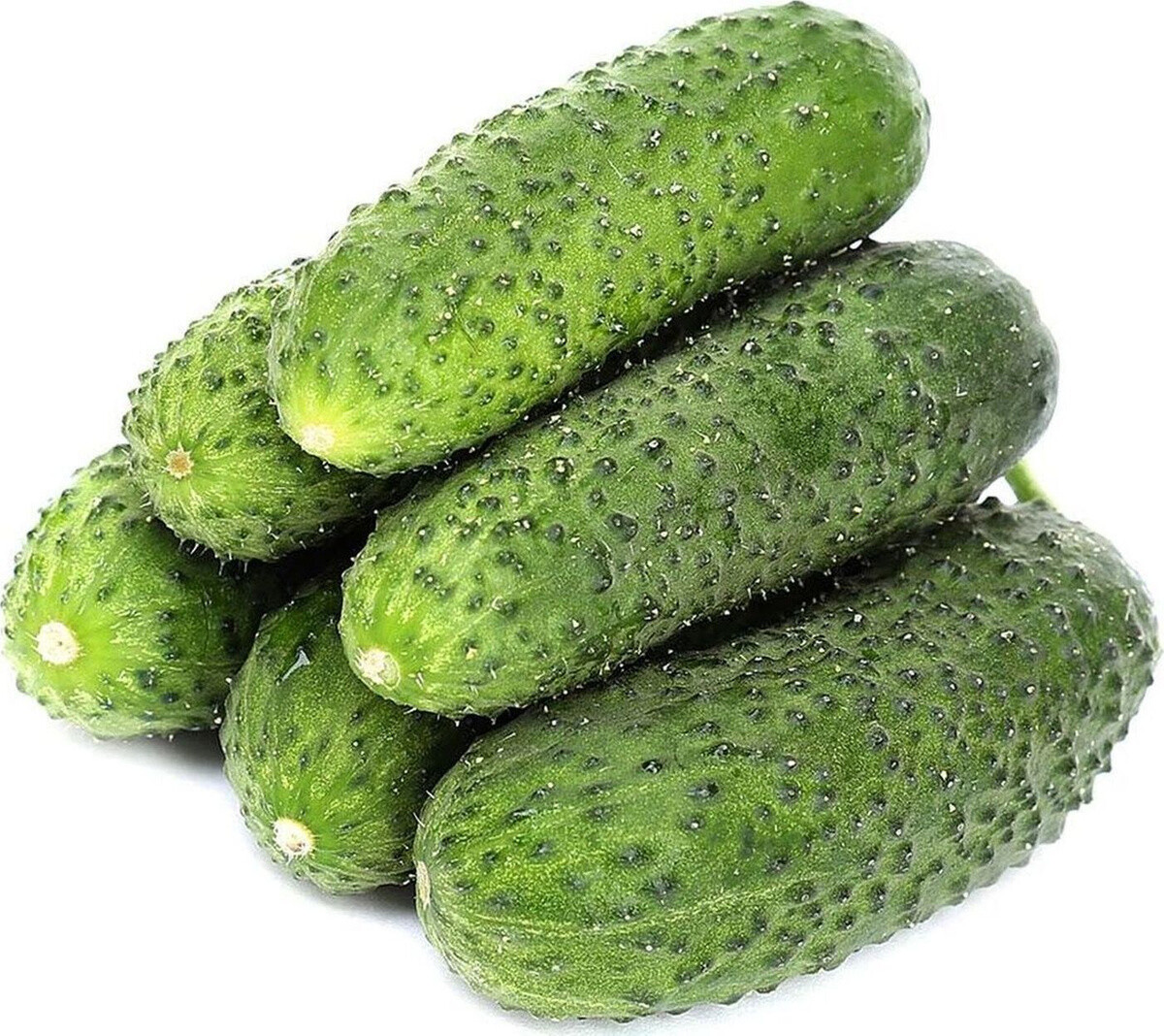 Огурцы грунтовые