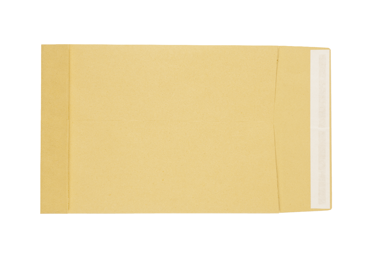 Пакеты крафтовые с расширением C4, 25шт