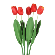 Букет тюльпаны, 5шт