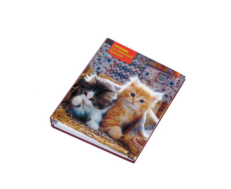 Тетрадь на кольцах Альт + сменный блок, 160л