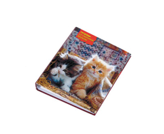 Тетрадь на кольцах Альт + сменный блок, 160л