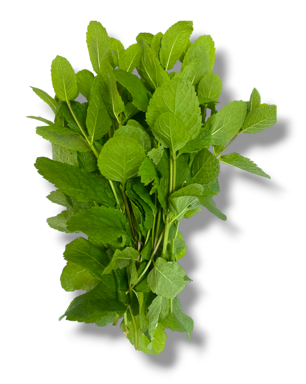 300Г МЯТА METRO CHEF