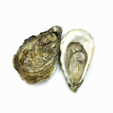 Устрицы Хасанские, ~500г