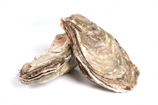 Устрицы Маака, ~200-350г