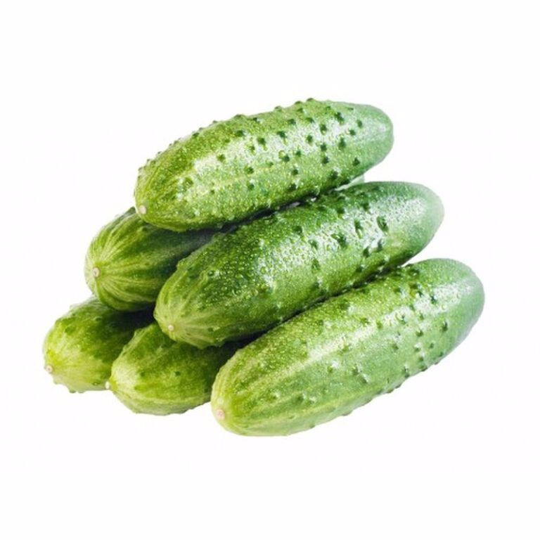Огурцы среднеплодные, 600г