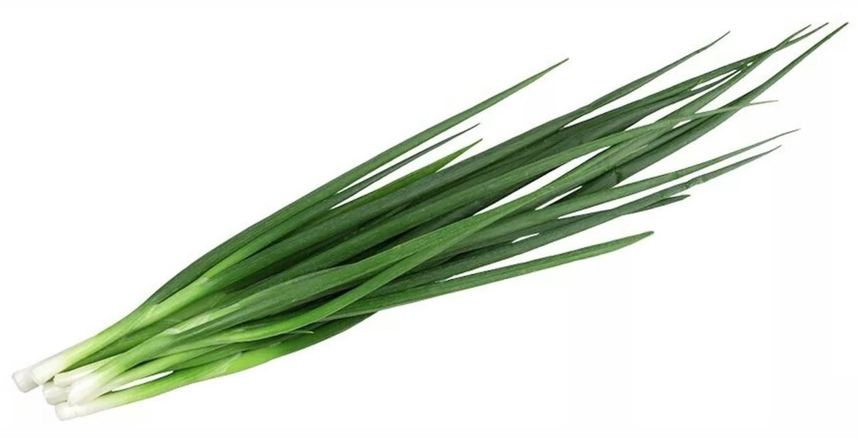 70Г ЛУК ЗЕЛЕНЫЙ METRO CHEF