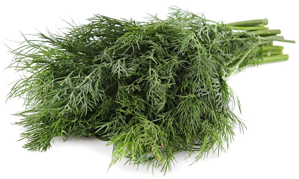 250Г УКРОП METRO CHEF