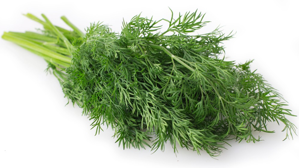 70Г УКРОП METRO CHEF