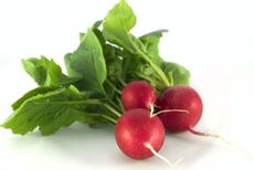 Редис пучок, 125г