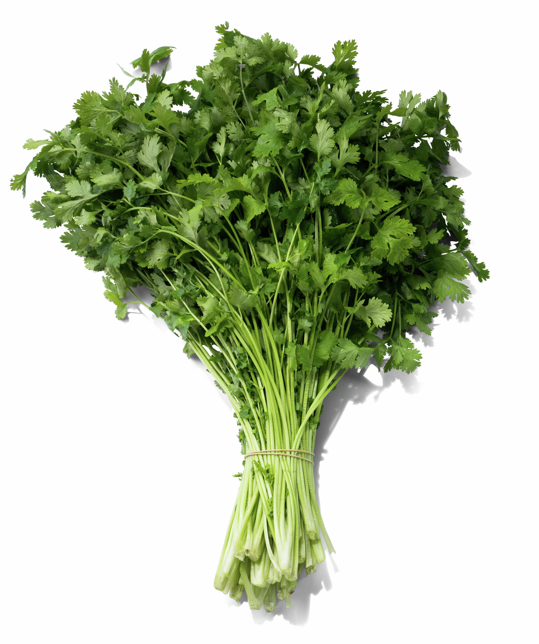 250Г КИНЗА METRO CHEF