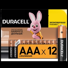 Батарейки Duracell LR03 AAA, 12шт
