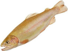 Форель янтарная потрошеная с головой охлажденная, ~500г