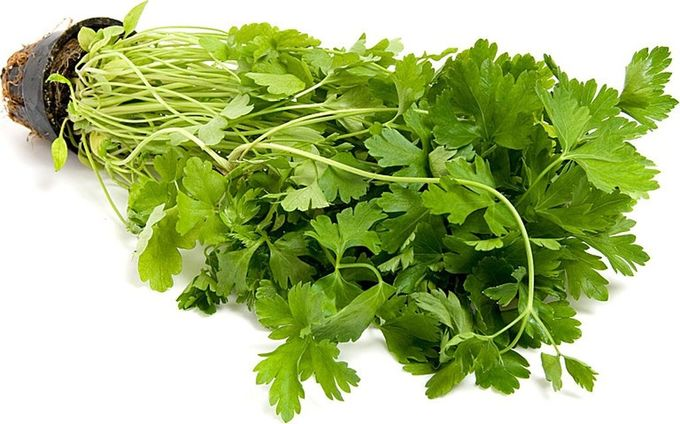 Петрушка в горшочке