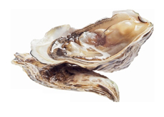 Устрицы Джоли, 60г