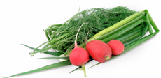 Набор зелени (укроп, петрушка, лук, редис), 200г