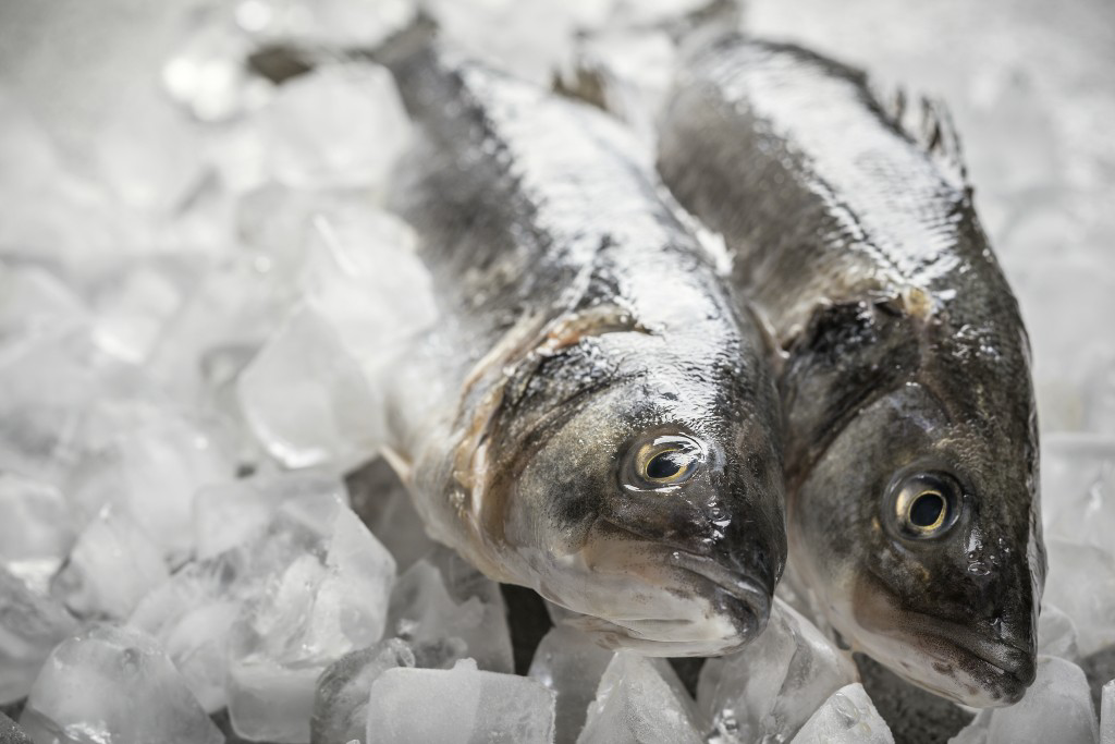 Дорада Ла маре дикая, ~0.5-1кг