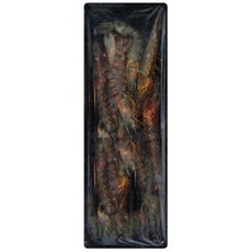 Креветки тигровые с головой 15/25, 500г