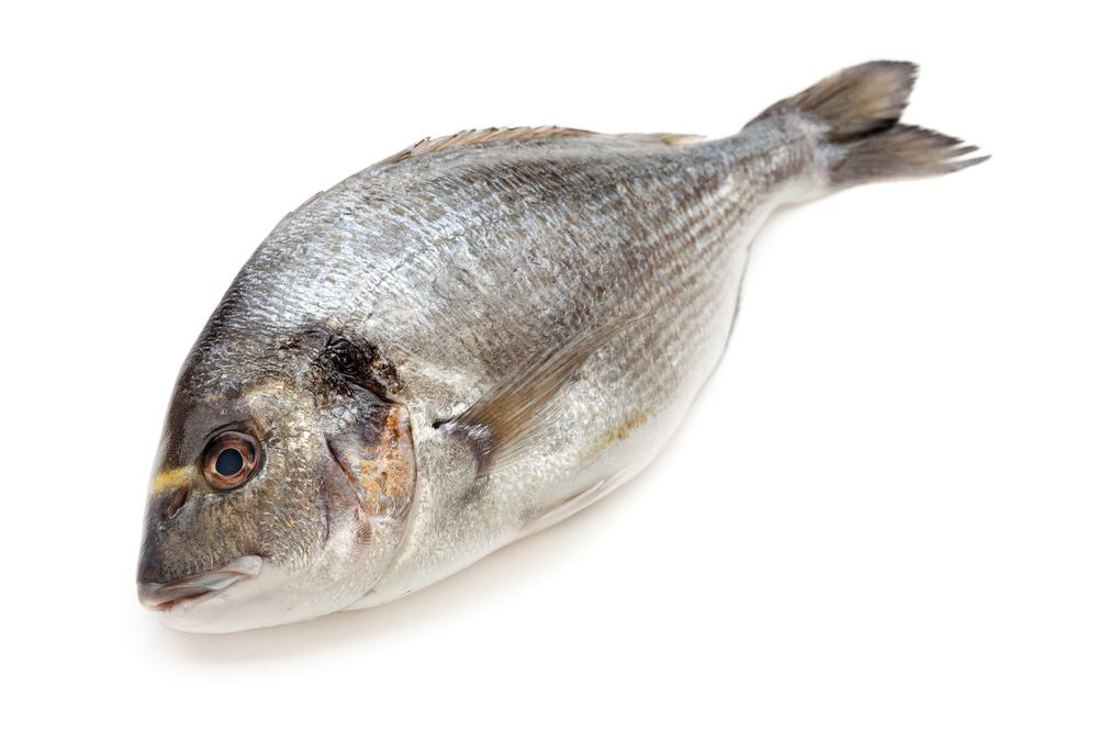 Дорада 1000/1500, ~1-1.5кг