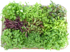 Зеленый микс, 150г