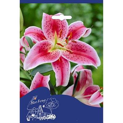 Стойка с луковичными Kapiteyn Русский огород №1, 150г