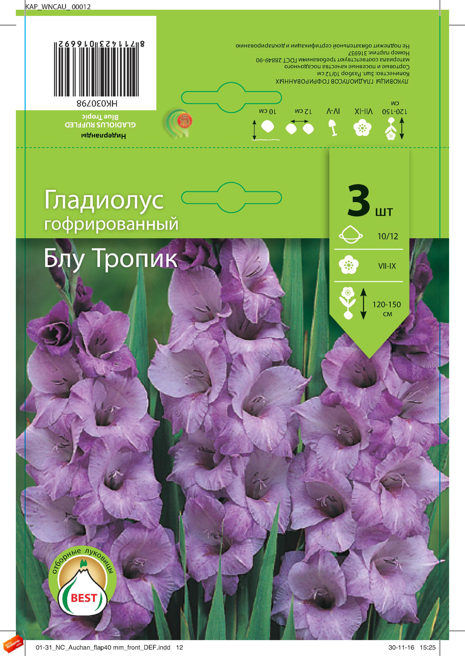 Стойка с луковичными Kapiteyn Русский огород с луковичными №2, 150г