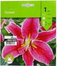 Стойка с луковичными Kapiteyn Русский огород №3, 150г