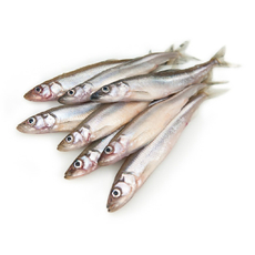 Корюшка Ладожская неразделанная