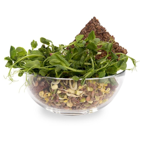 Салатная смесь Солнечная планета Свежесть, 100г