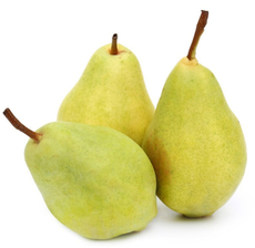 Груша Санта Мария