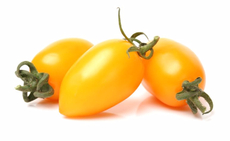 Томаты сливка желтые