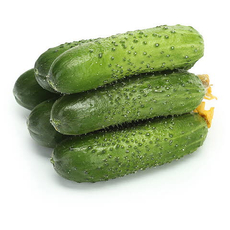 Огурцы корнишоны