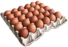 Яйцо куриное Чайковская птицефабрика С1, 360шт