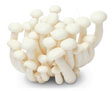 Грибы Шимиджи, 250г