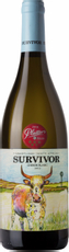 Вино Survivor Chenin Blanc белое полусухое, 0.75л